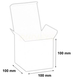 100x100x100 karton - opakowanie 20 szt.